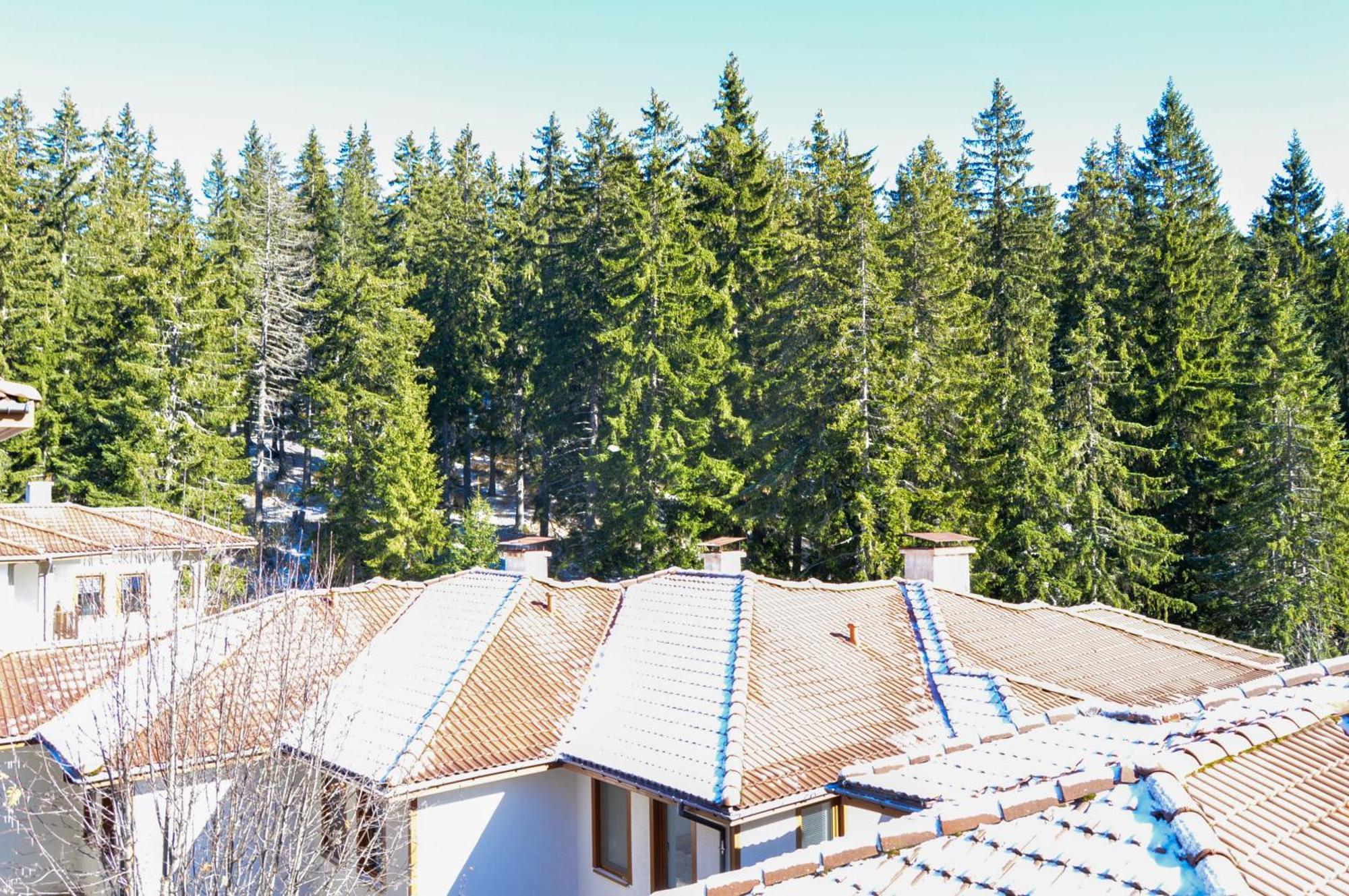 Myplace Pamporovo Апартаменти За Отдих מראה חיצוני תמונה